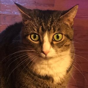 Meet your Posher, Kathy